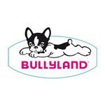 bullyland