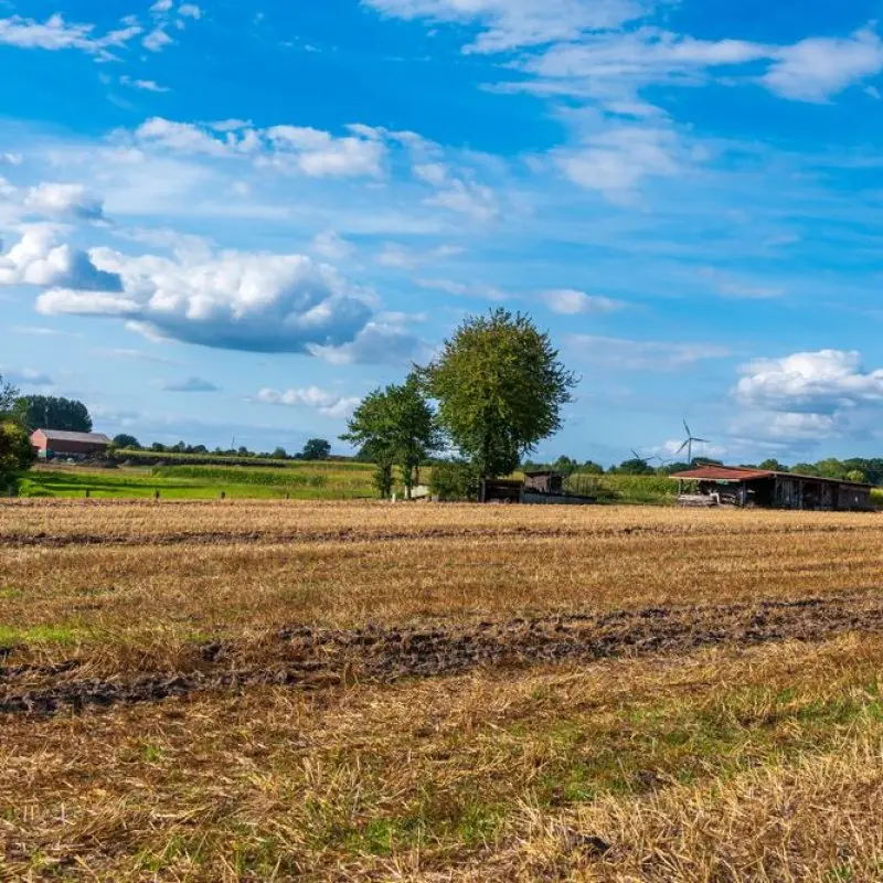 Agriculture