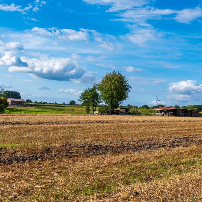 Agriculture